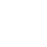 bonded icon